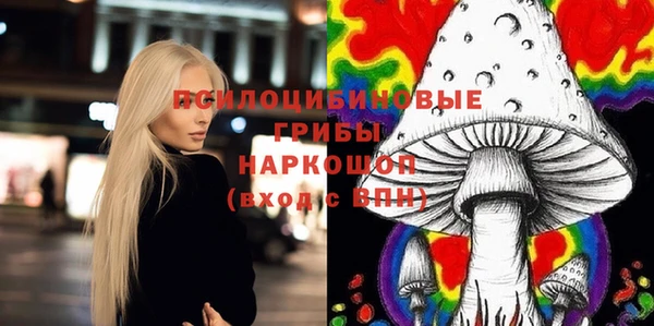 хмурый Балабаново