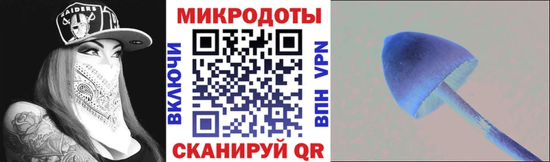 Псилоцибиновые грибы Cubensis  купить   Гуково 